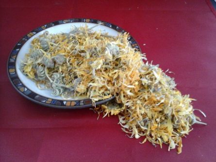 marigold flowers july 2016
