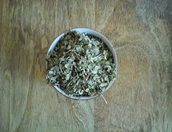 Ladies Mantle Herb 11 jan 2017