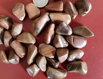Brown Jasper new 2