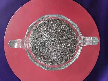 Chia seeds 1