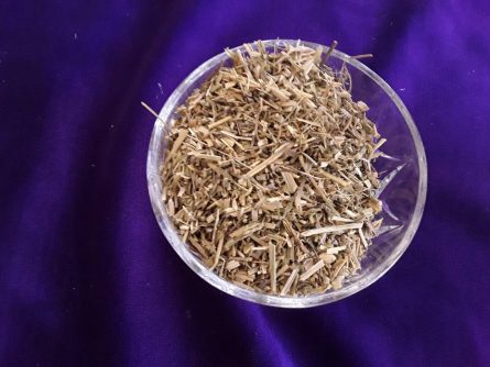 Violet Herb 1