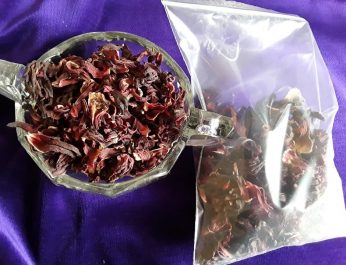 Hibiscus Flowers Whole 4