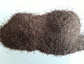 Elderberry Powder 1