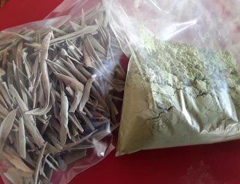 Olive leaves and powder