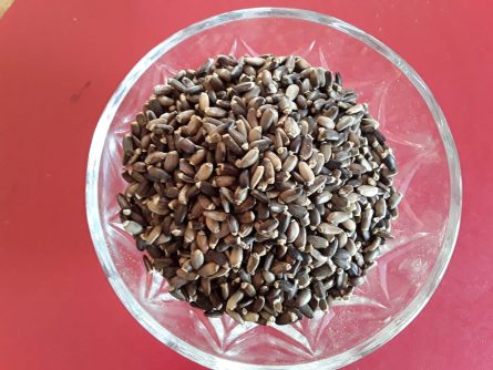 Milk Thistle Seeds for liver, skin and culinary - Image 2