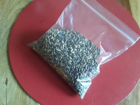 Milk Thistle Seeds for liver, skin and culinary - Image 4