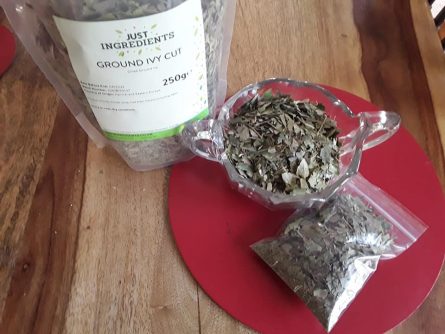 Ground Ivy Culinary and Healing Properties - Image 5