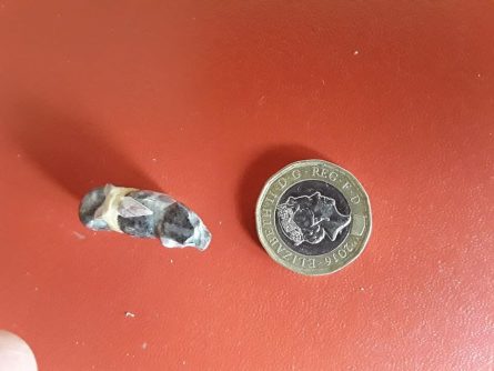 Small Navajo & Zuni grey bear Stone Carving - Image 5