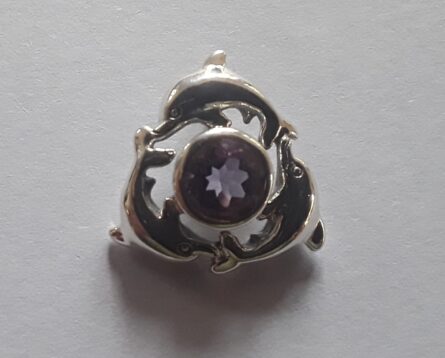 Dolphin Circle Pendant 4