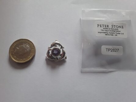 Dolphin Circle Pendant 5