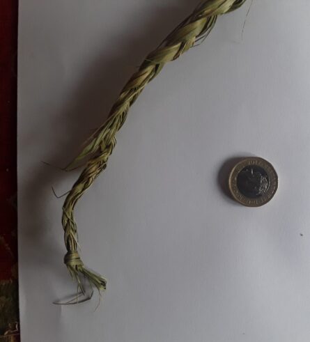 Sweetgrass braid unpackaged 3
