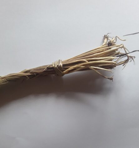 Sweetgrass braid unpackaged 4